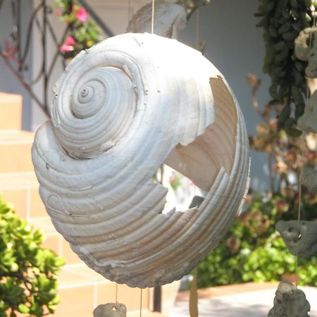 Aeolos Studios Kefalonia Хелмата Экстерьер фото
